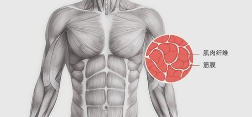 筋膜放松新潮流 YUNMAI筋膜枪Pro Design为何备受青睐